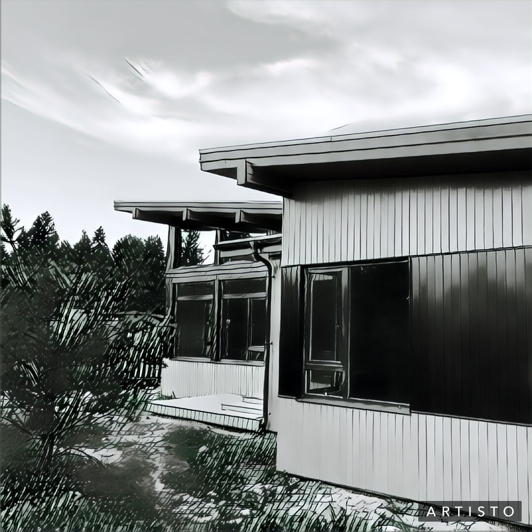 Обложка проекта: “ XS  “ 115