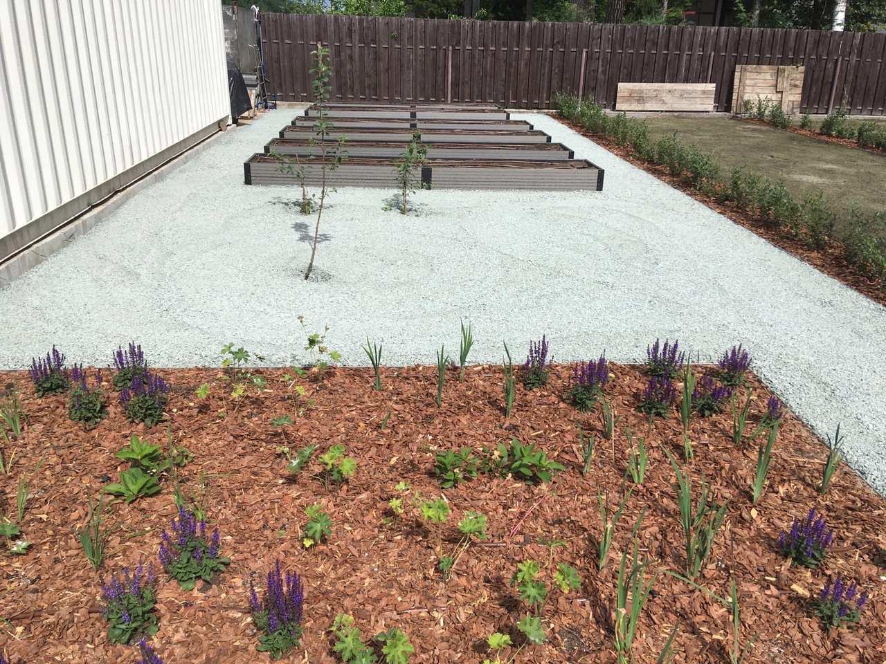 Обложка проекта: Строгие линии