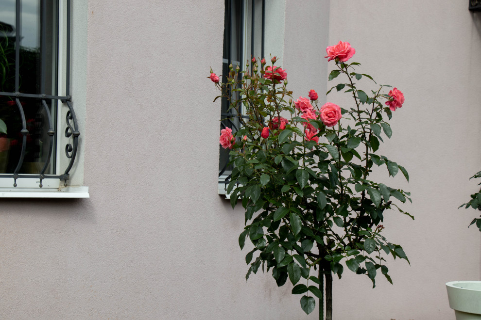 Обложка альбома: Идеи пользователя webuser_371728942