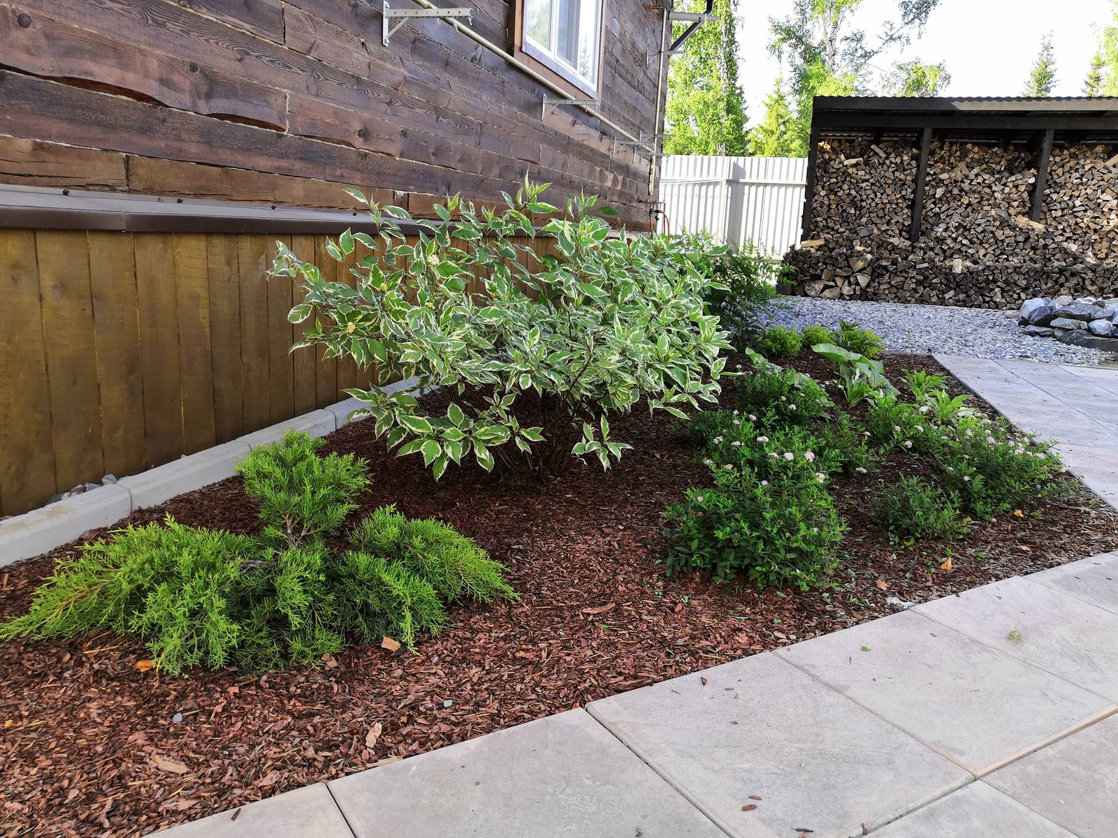 Евгения Петрова