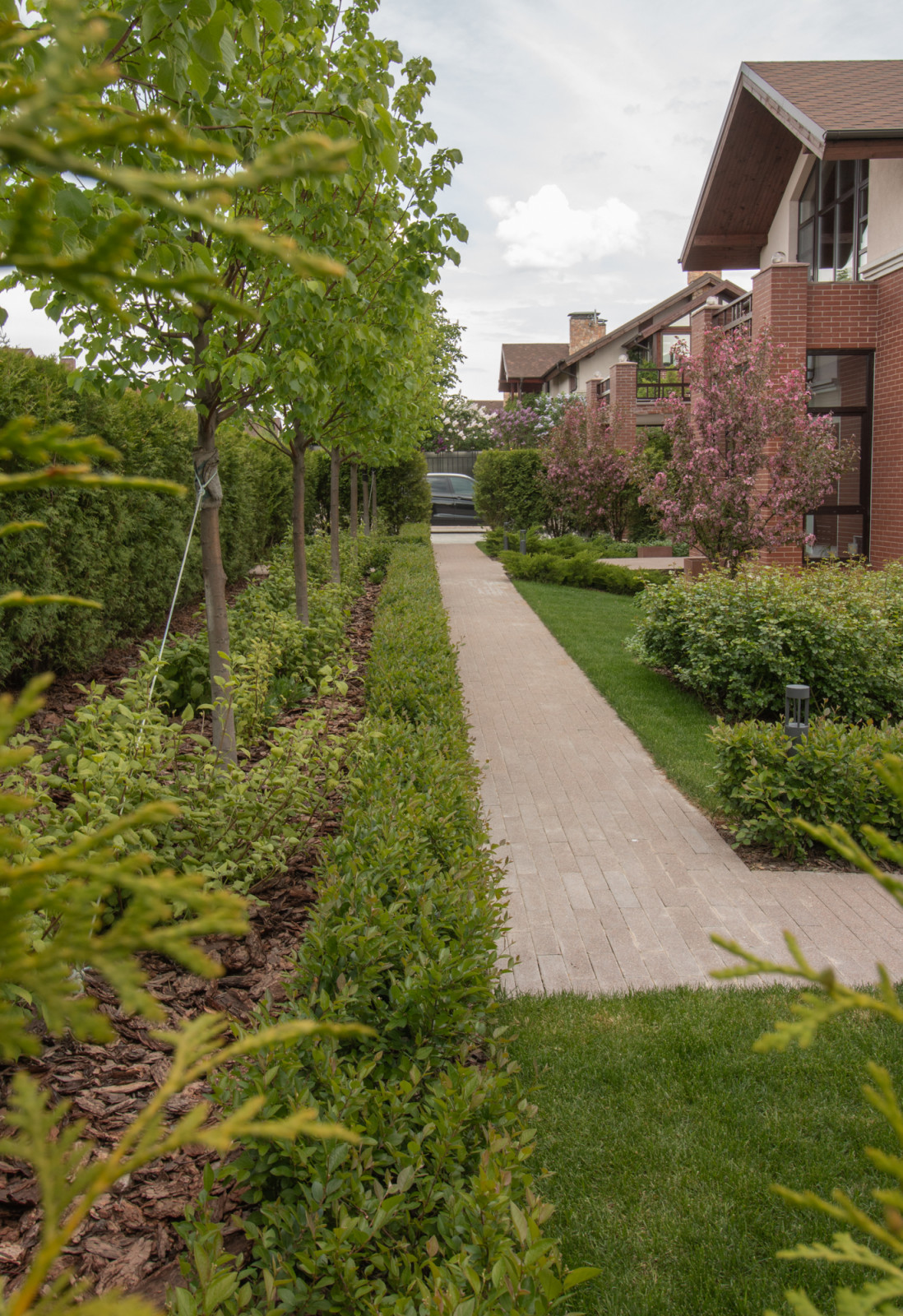 Опушкино_2019