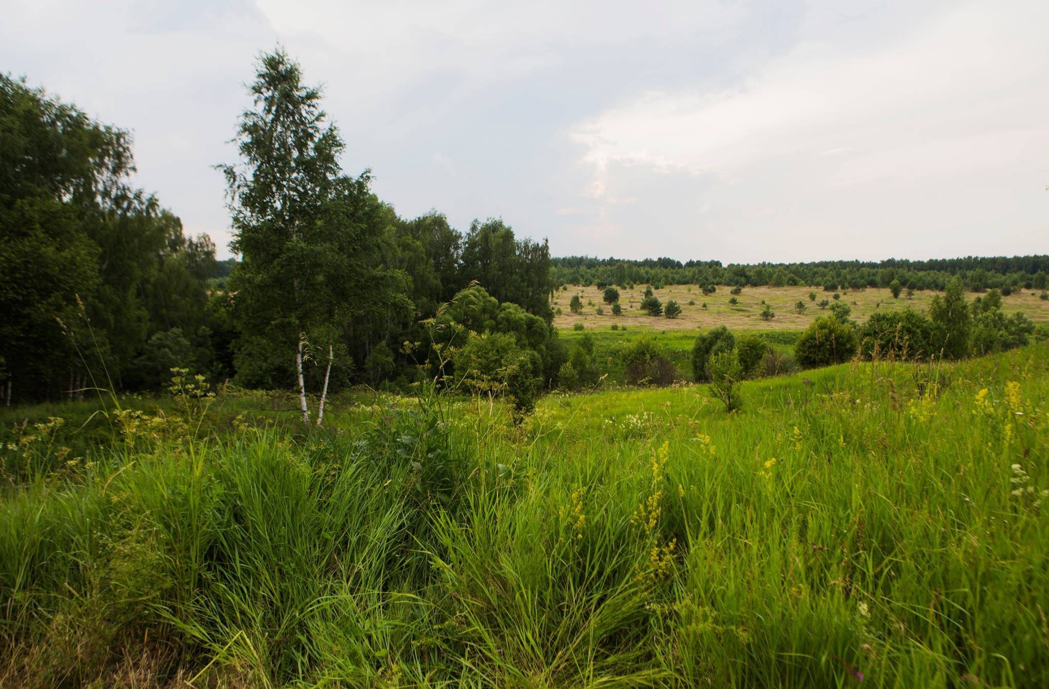 Портрет: Гостиница-теплица и архитектурные «чудеса» парка «Ясно Поле»