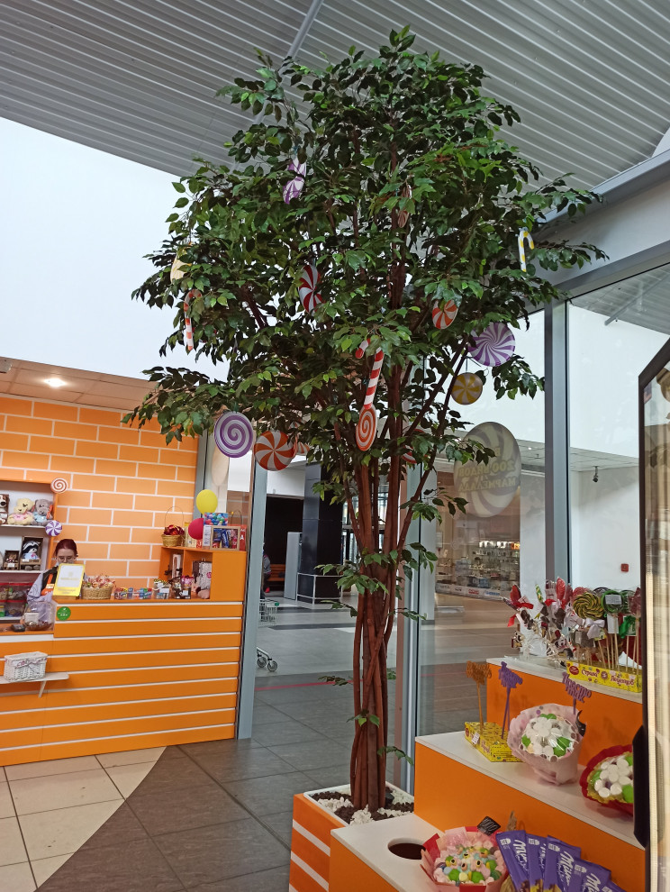 Обложка проекта: Крупномерные деревья для МармеладЛэнд