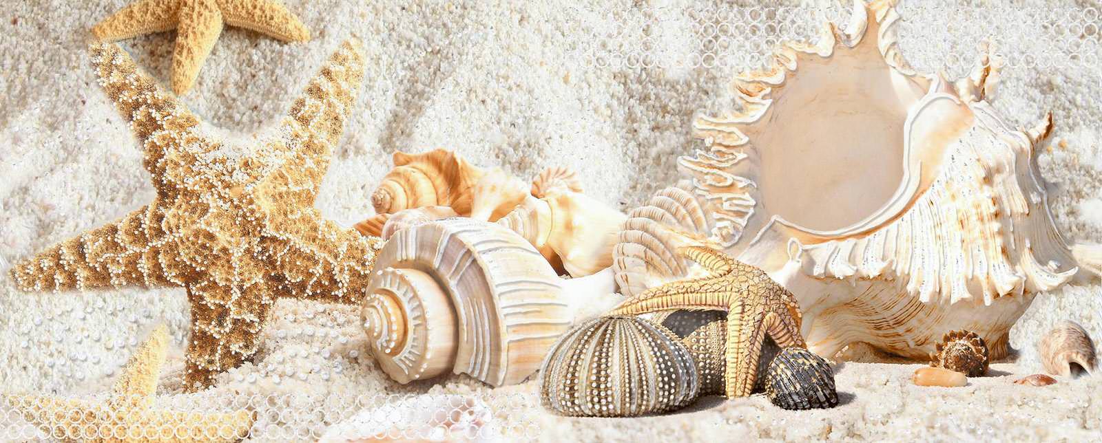 Обложка проекта: СОЛНЕЧНЫЙ ОСТРОВ