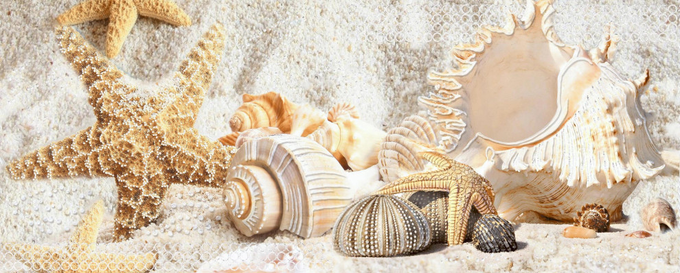 Обложка проекта: СОЛНЕЧНЫЙ ОСТРОВ