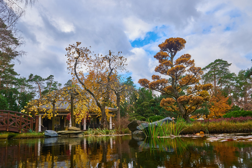 Сад в средиземноморском стиле в коттеджном поселке «Барвиха»