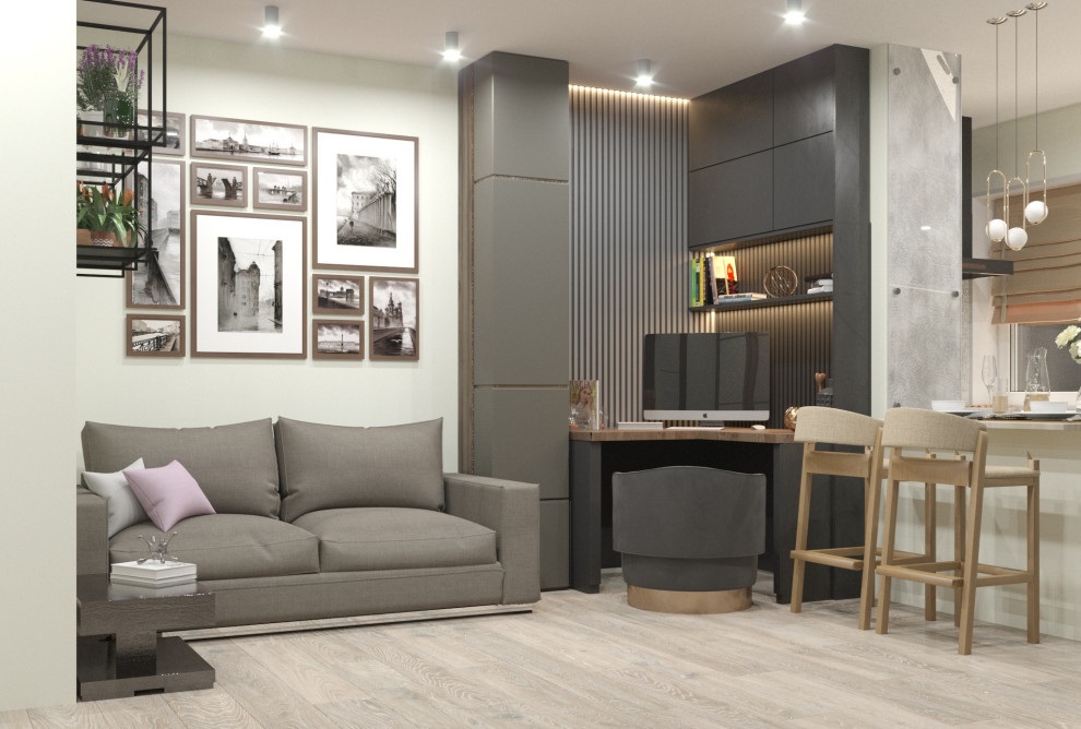 Студия общей площадью 26 м.кв. в соврменном стиле