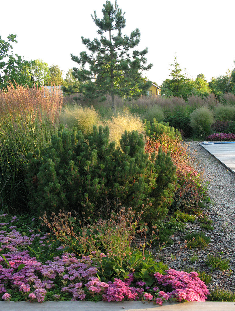 Houzz Белоруссия: Сад в тумане