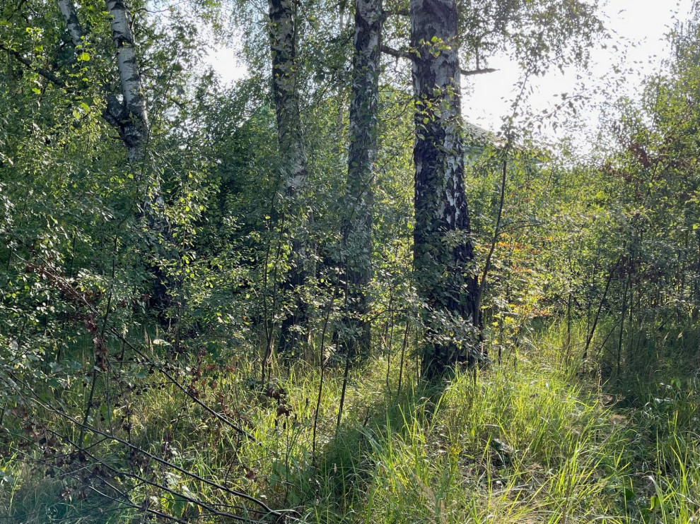 Обложка проекта: Строительство дома в Чигасово