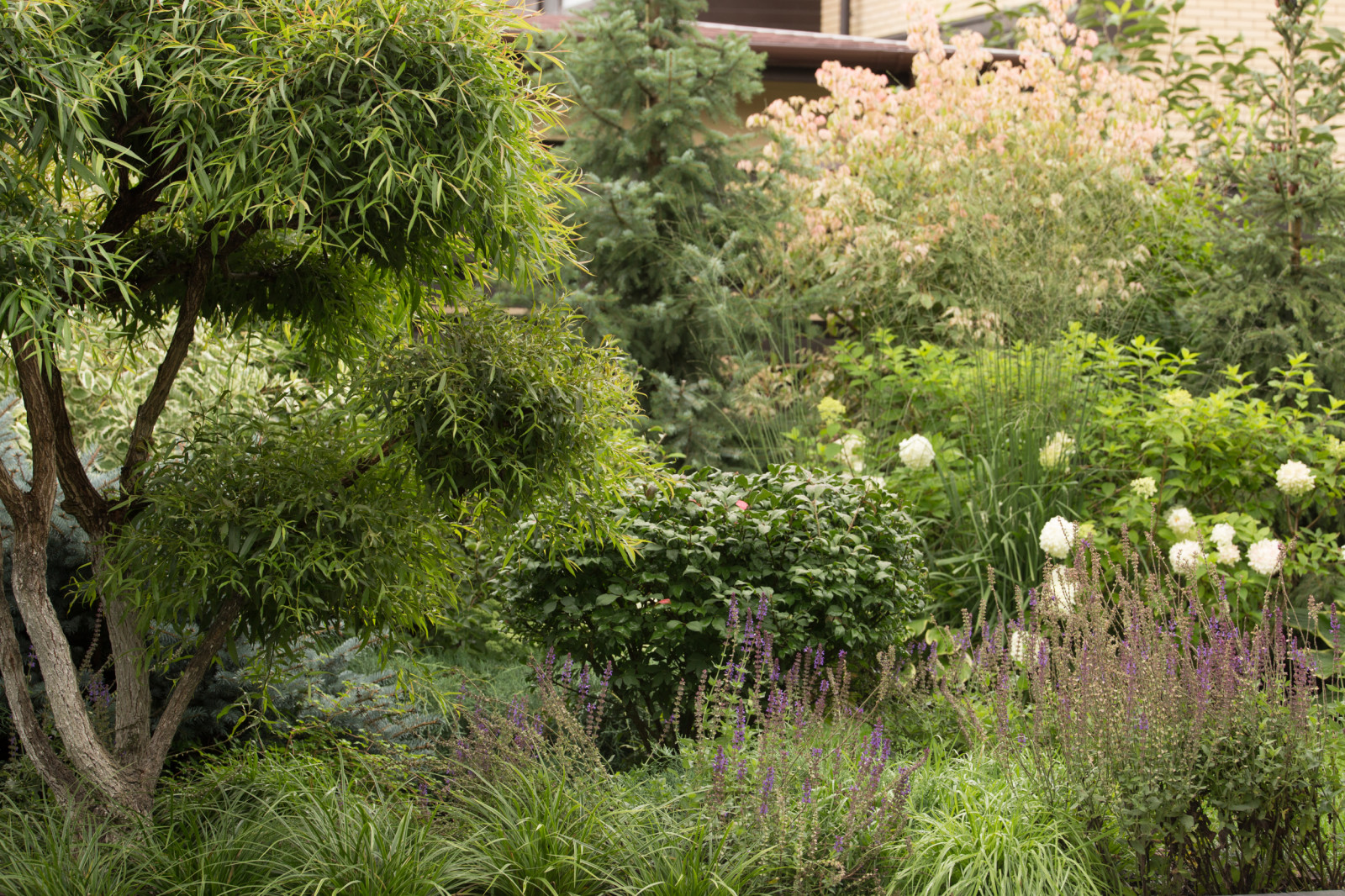 Светлогорье лето 2016