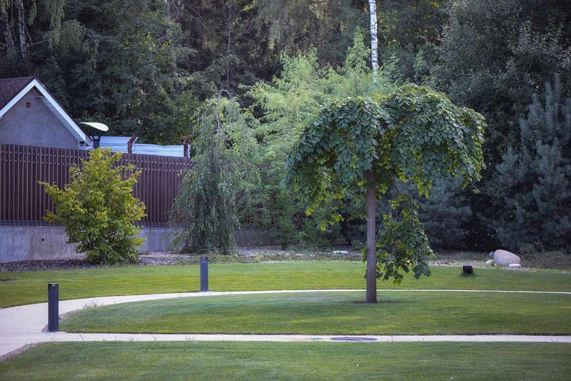 Успенский Лес