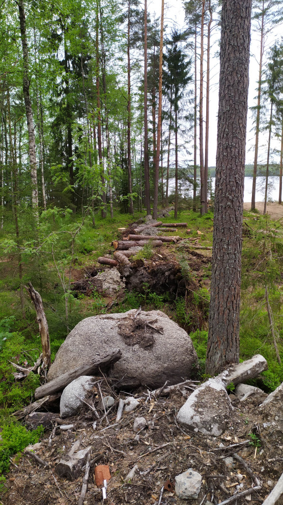 Лесная Ривьера