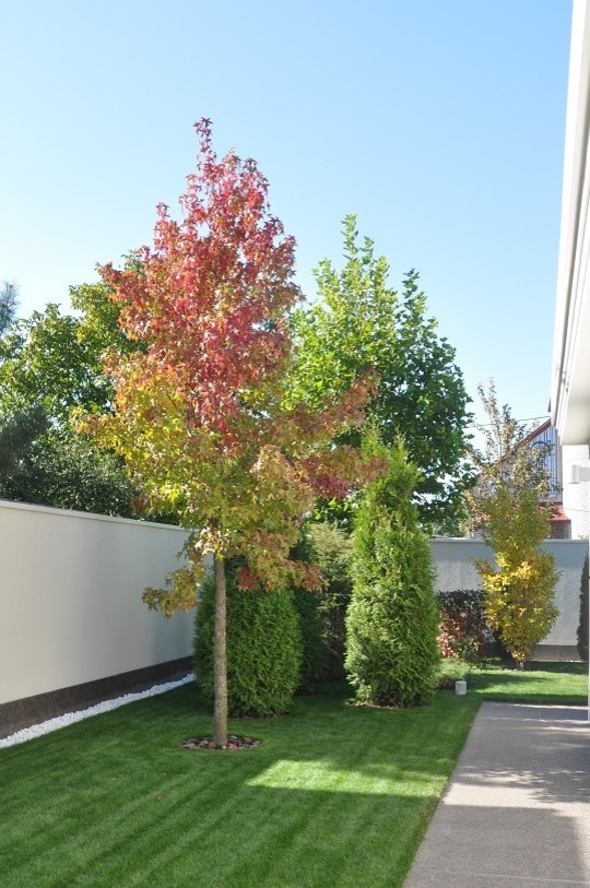 Private modern garden / Частный современный сад.