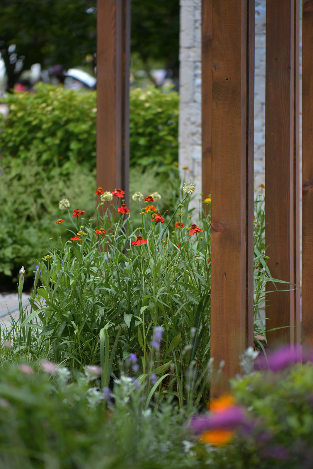 Золотая медаль и звание лучший сад международного конкурса "Moscow Flower Show"