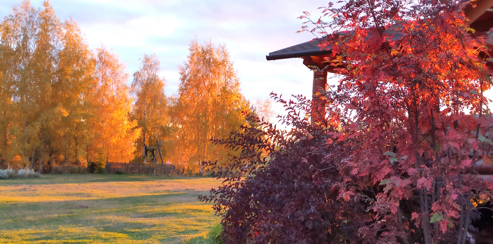 Проект "Волга"