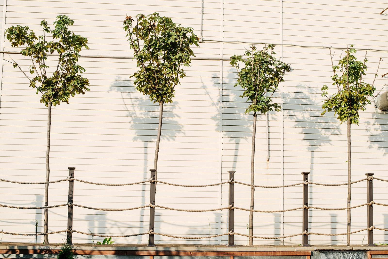 Обложка альбома: Благоустройство участка
