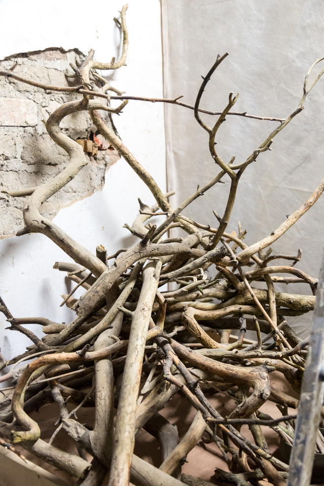 Портрет: Предметы из пустотелов и ветвей от Dubidub