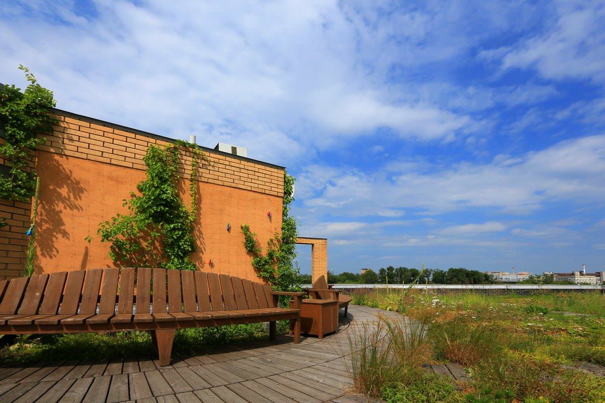 Сад на крыше