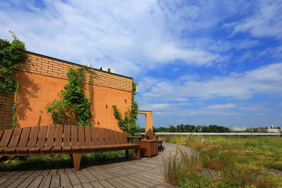 Сад на крыше