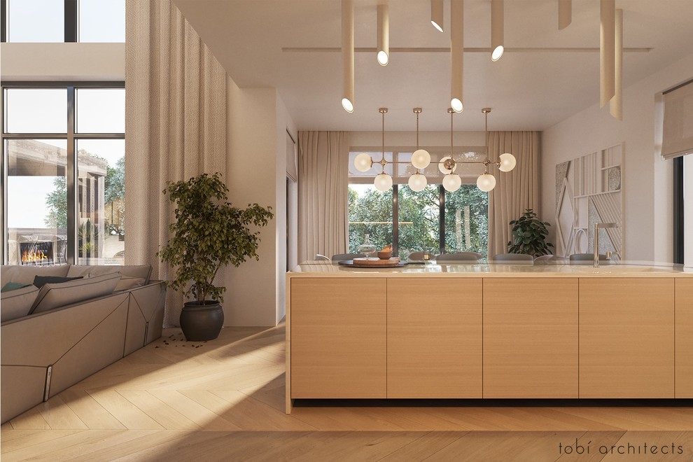 INSIDE THE MODERN HOUSE