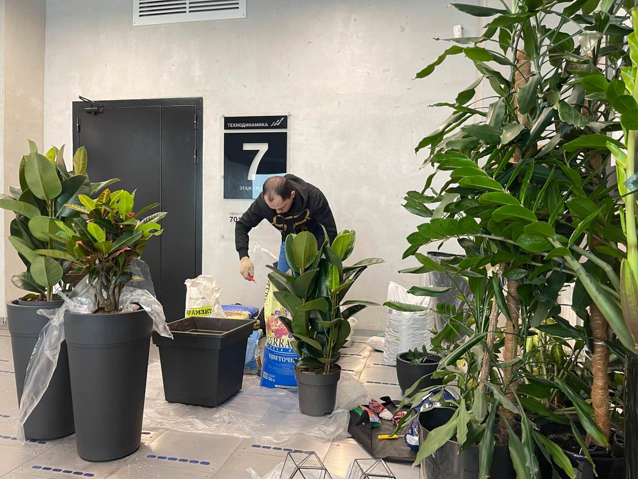 Обложка проекта: Офис Технодинамика г. Москва