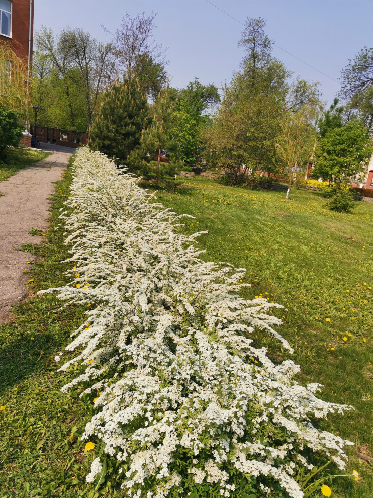 Самара ЛАП №135