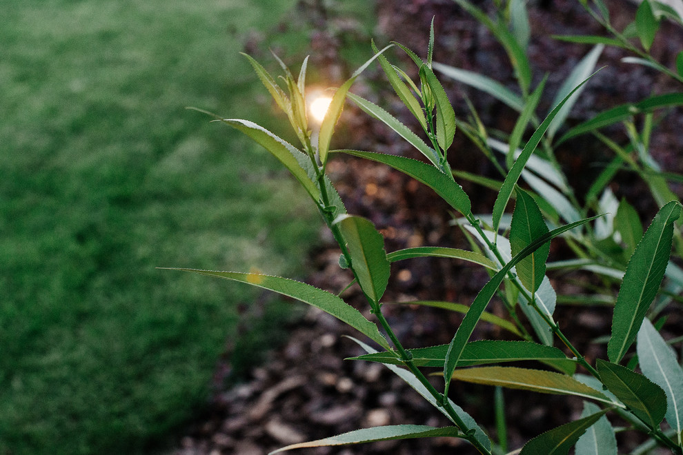 Агропустынь