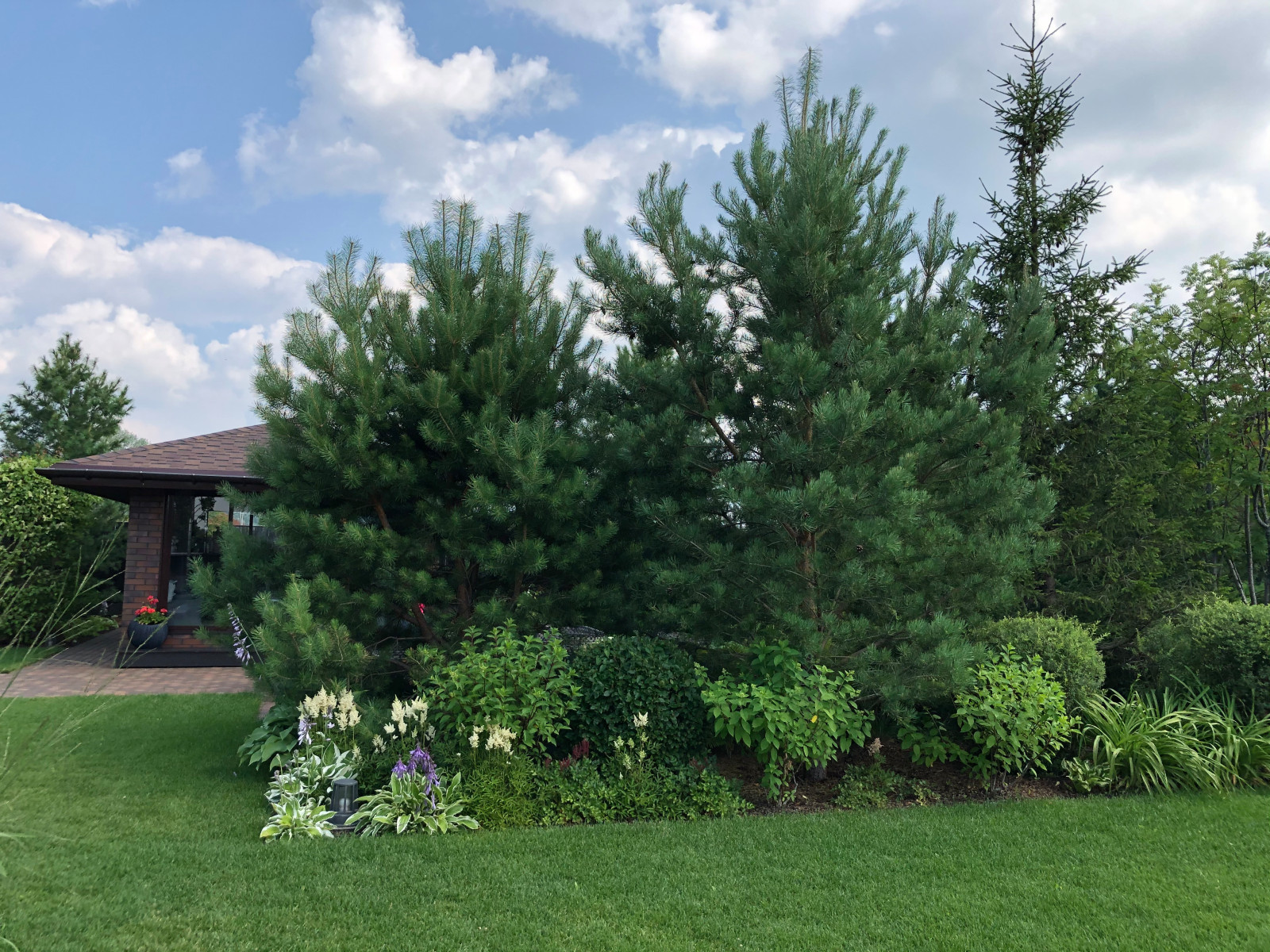 Счастливый сад