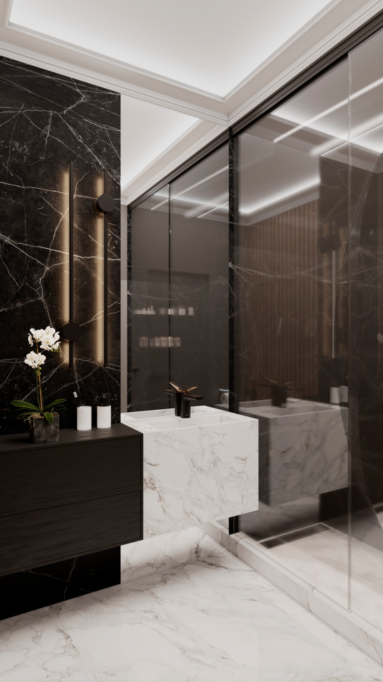 Проект Вёшки