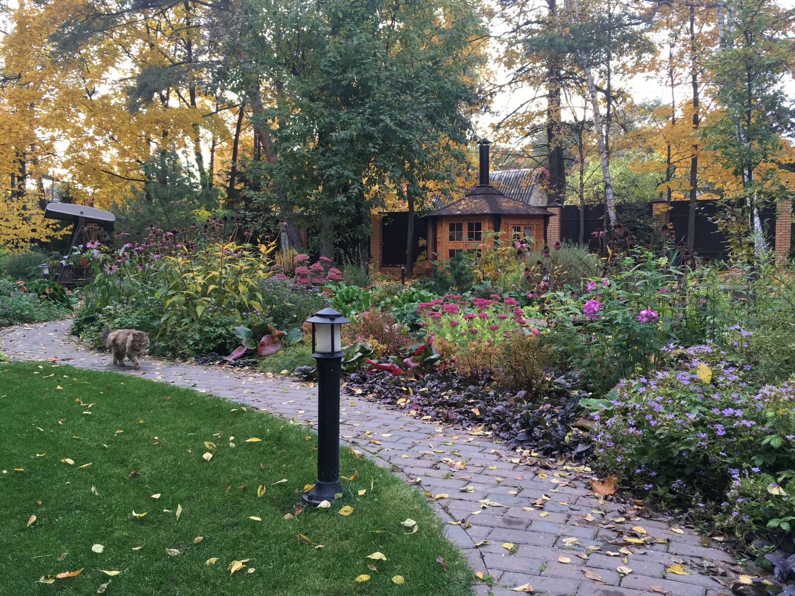 Белкин сад. Осень 2019