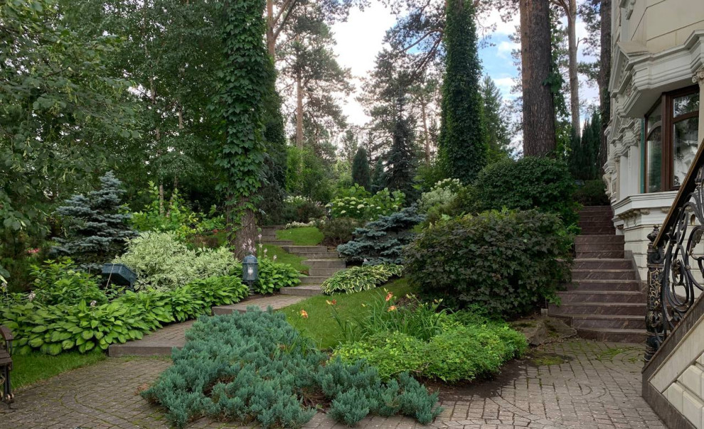 Реализованные проекты