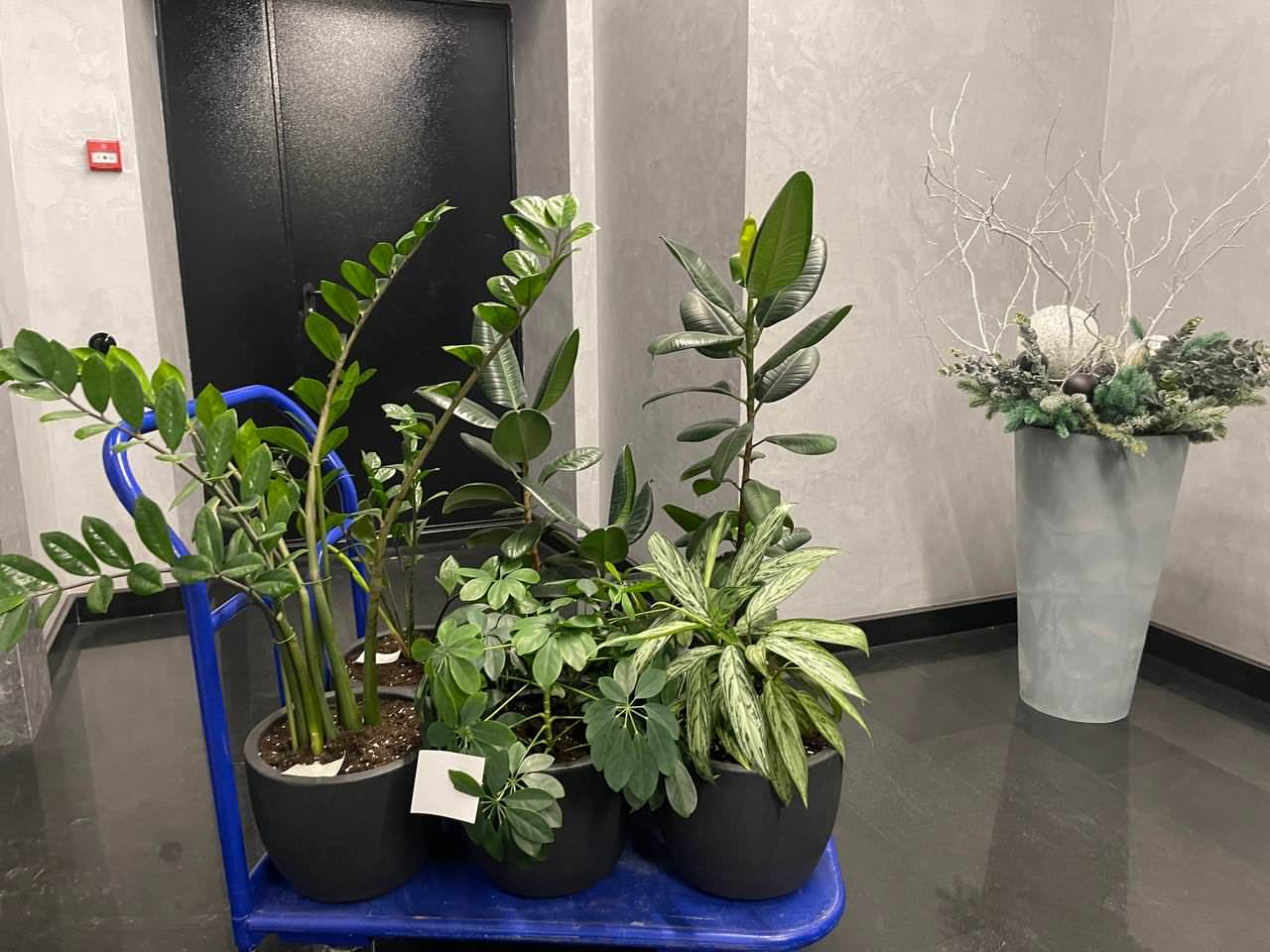 Офис Технодинамика г. Москва