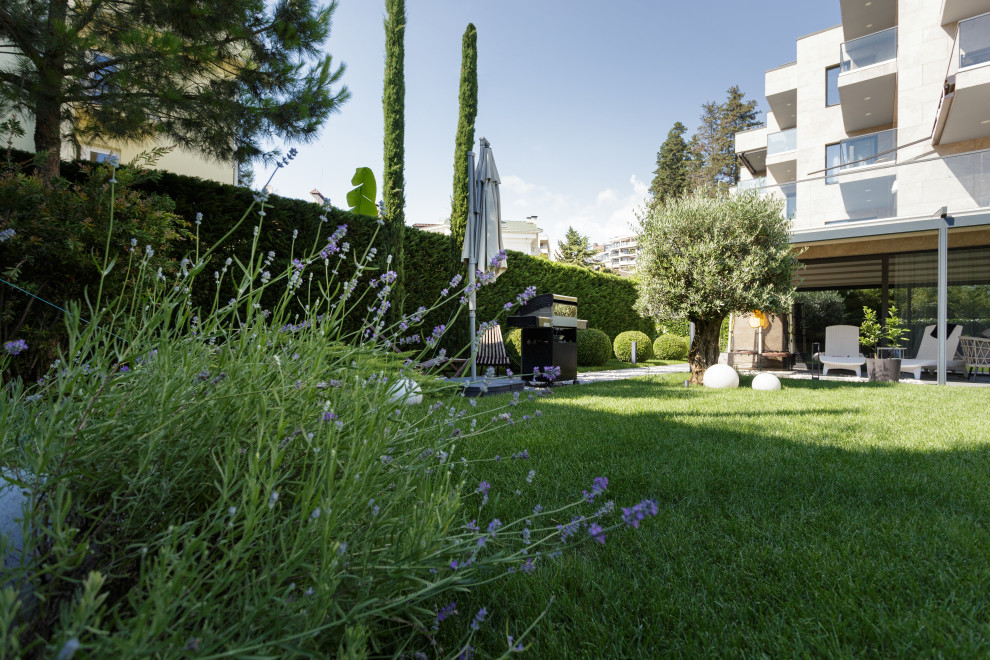 Розмарин. Ландшафтный Дизайн