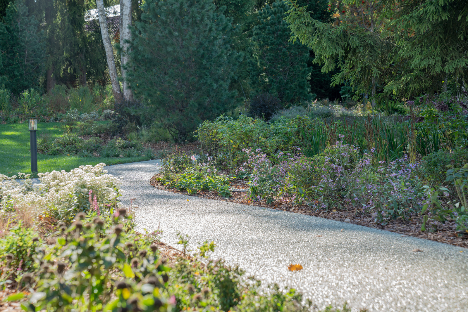 Круговорот цвета. Дубровка 2021