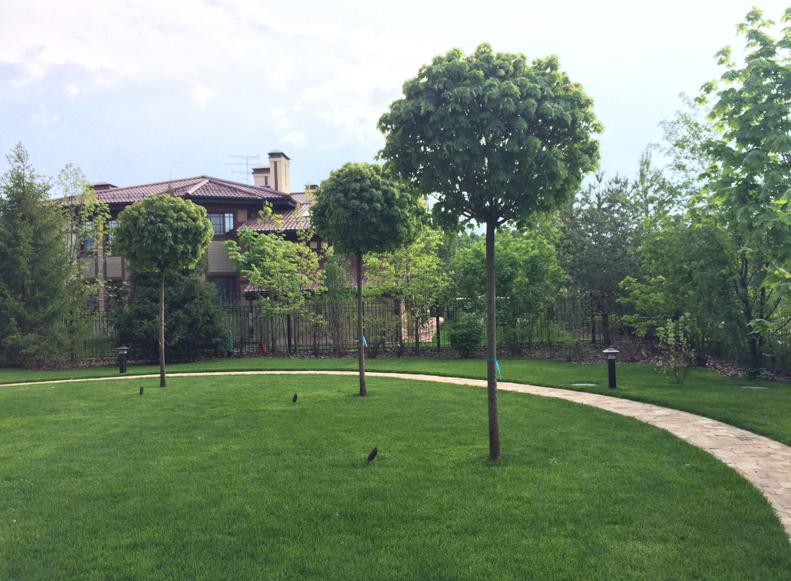 Миллениум Парк 1