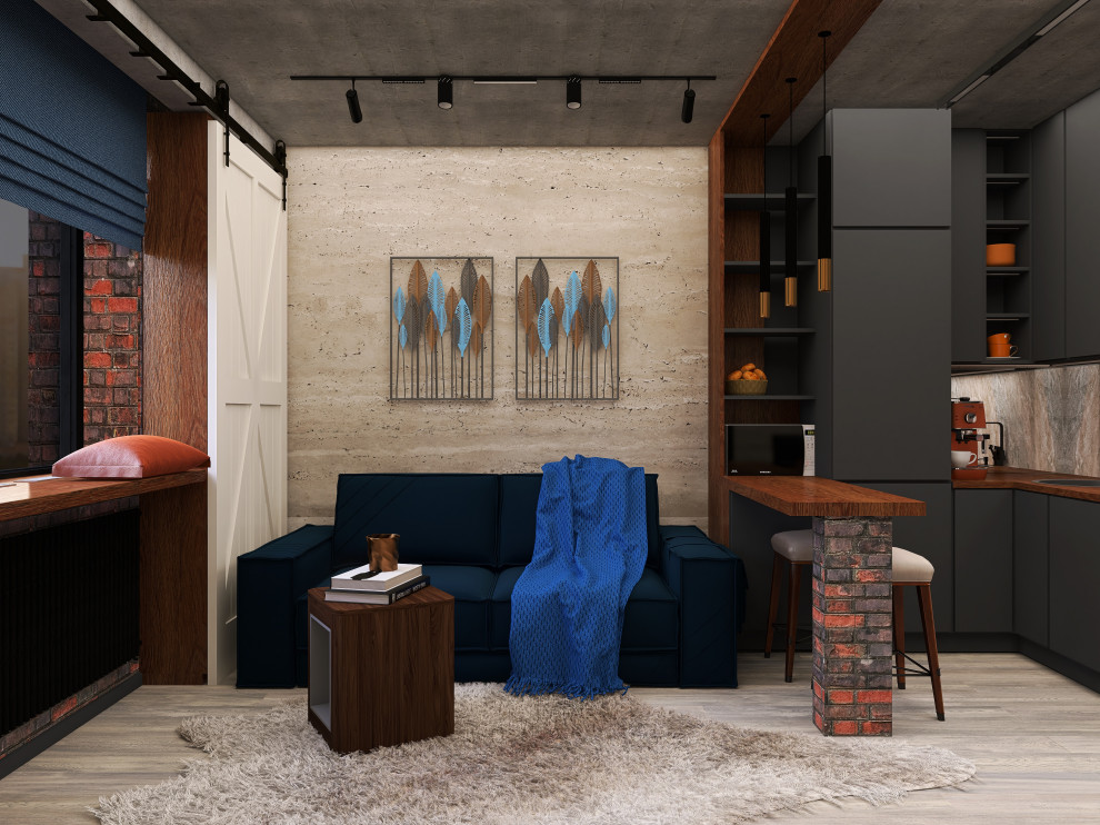 Обложка проекта: Квартира-студия для студента 24,8 кв.м