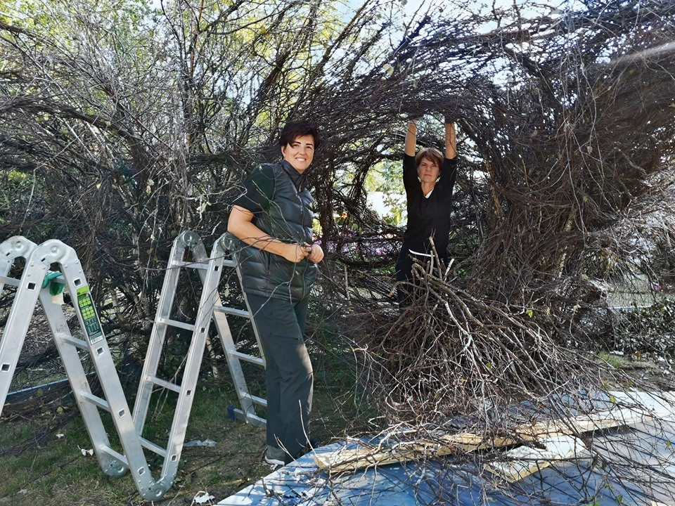 Сад Метерлинка