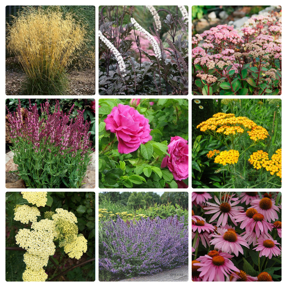 Рижское взморье