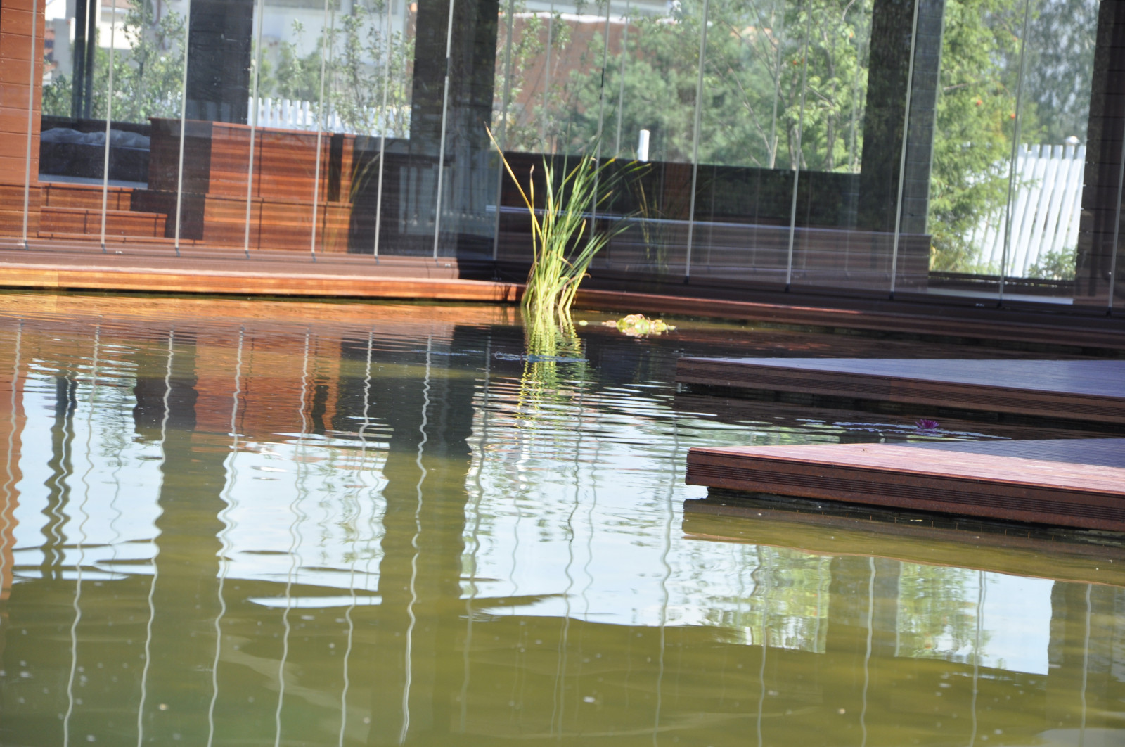 Ландшафт в поселке "Бенилюкс"