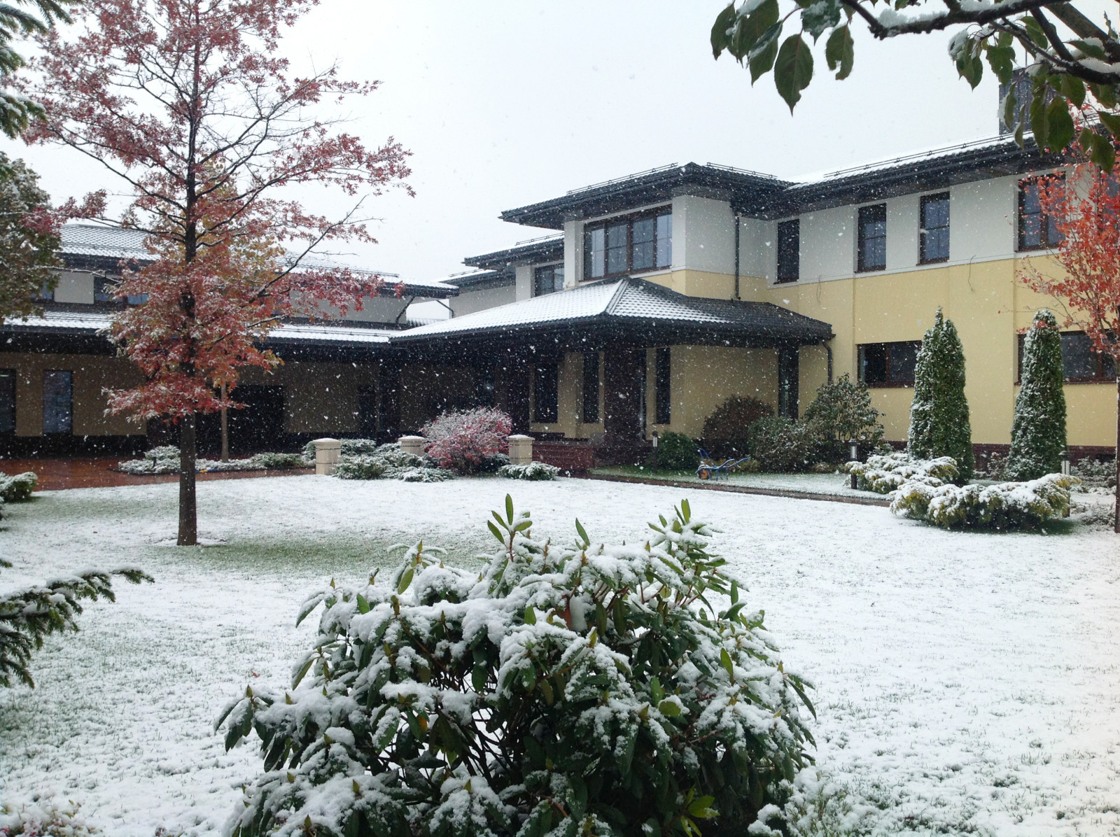 VERTO (Гранд - СП)