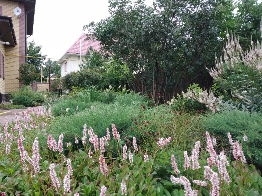 Сад в розовой дымке