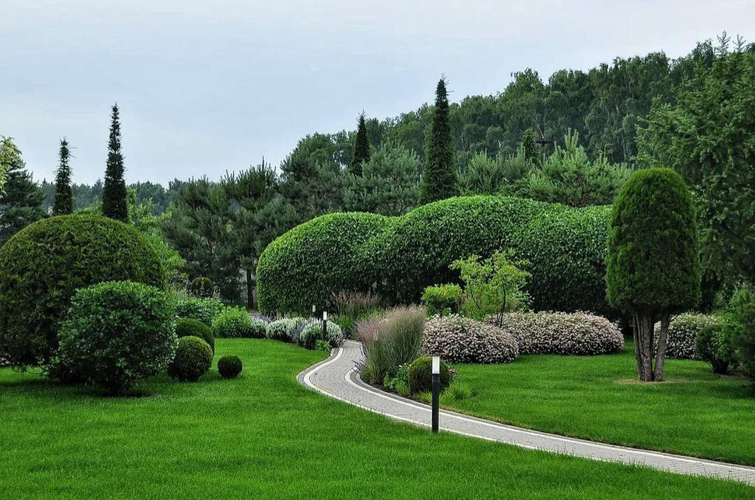 Обложка проекта: SHAZAM /шазам