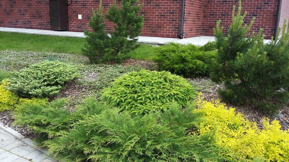 Сад  на холмах