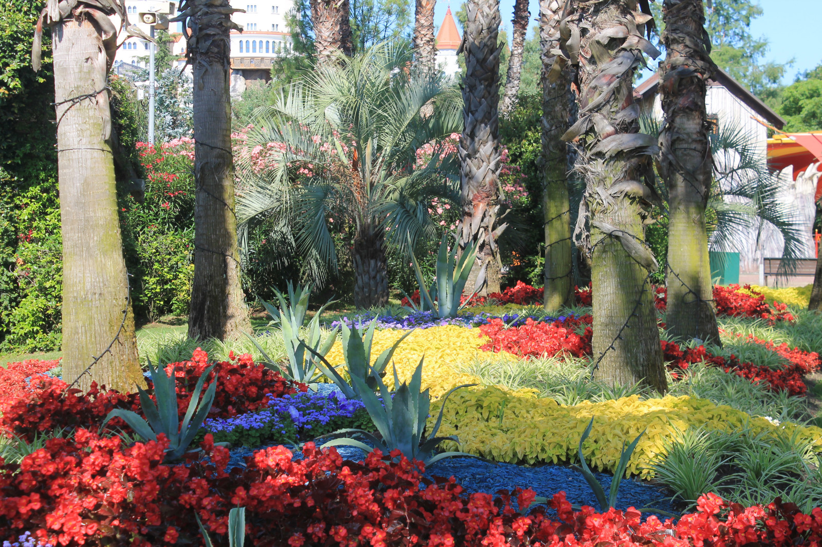 Парк аттракционов "Сочи парк"