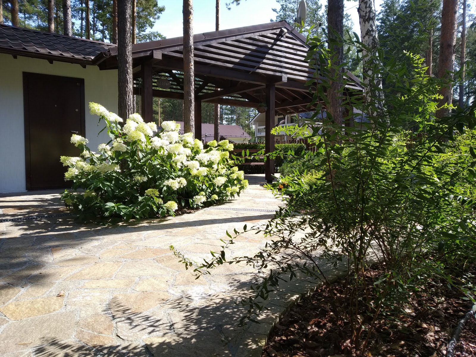 У леса на опушке