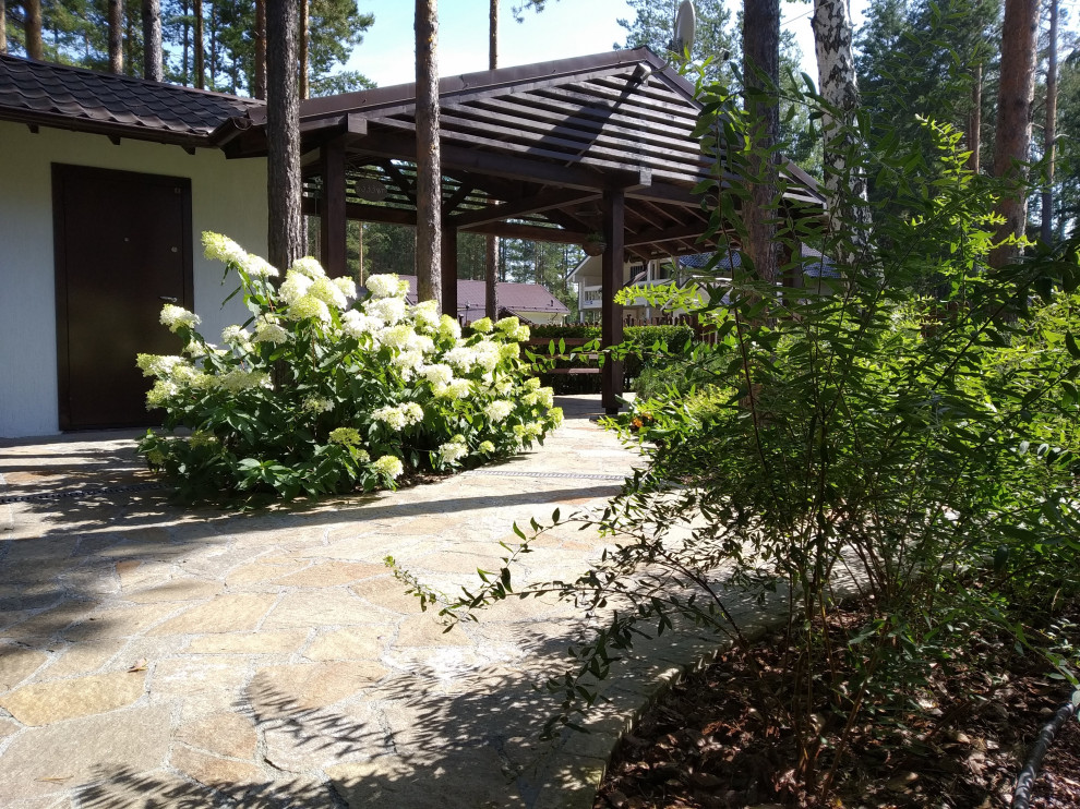 У леса на опушке