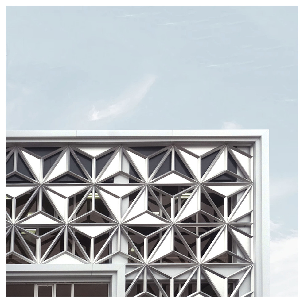 Обложка проекта: Фасад. Сетчатая декоративная оболочка