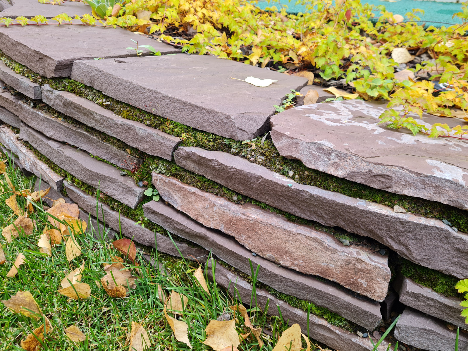 Ландшафтный дизайн Красноярск