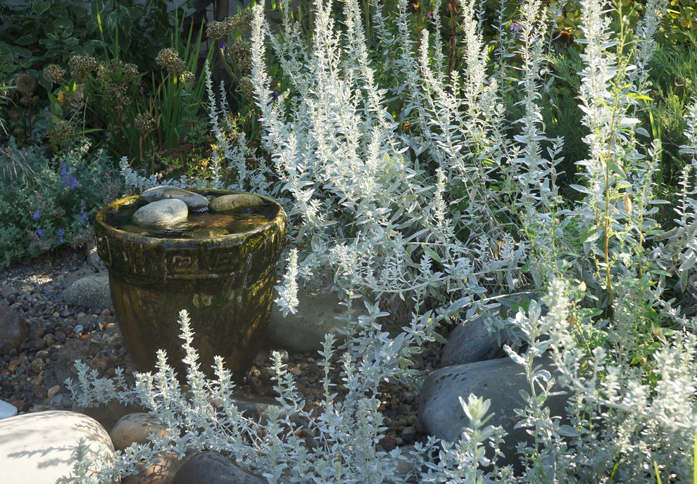 Наши водные объекты