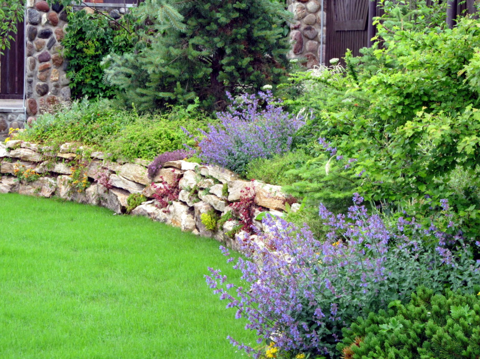 И снова - камень, и снова -котовник.